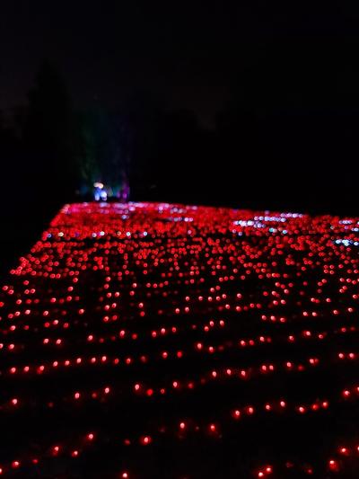 Avec Frédéric, Qian et Rose