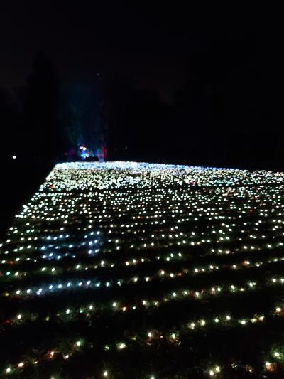 Avec Frédéric, Qian et Rose