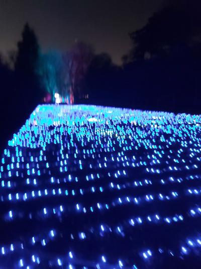 Avec Frédéric, Qian et Rose