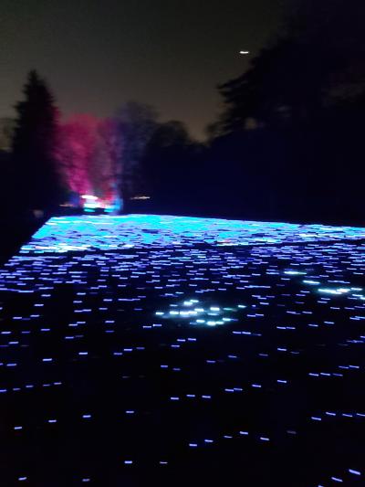 Avec Frédéric, Qian et Rose