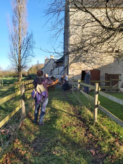 Ce ne sont pas des ânes !