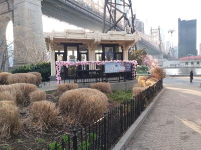 Direction Roosevelt island en téléférique