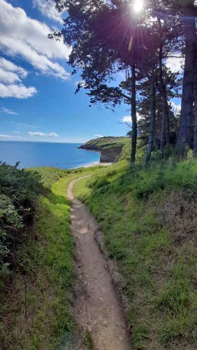 1er jour et Guillaume arrive