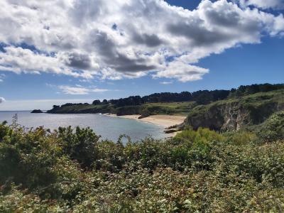 1er jour et Guillaume arrive