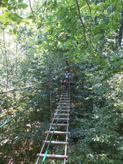 Accrobranche avec Ambre et Nathan