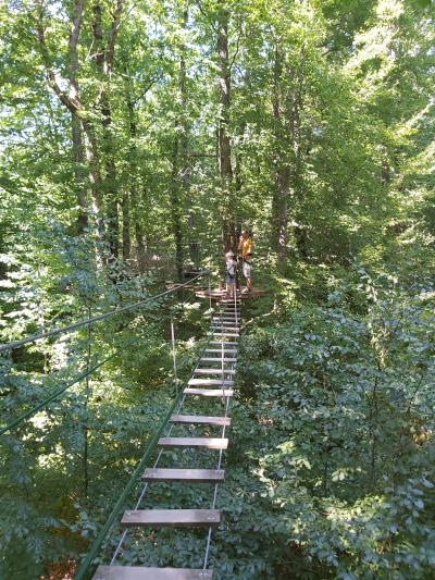 Accrobranche avec Ambre et Nathan