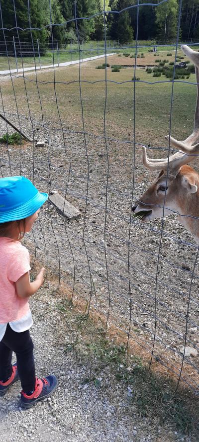 Accrobranche avec Ambre et Nathan