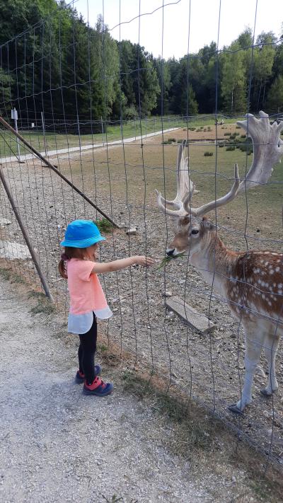 Accrobranche avec Ambre et Nathan