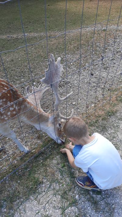 Accrobranche avec Ambre et Nathan