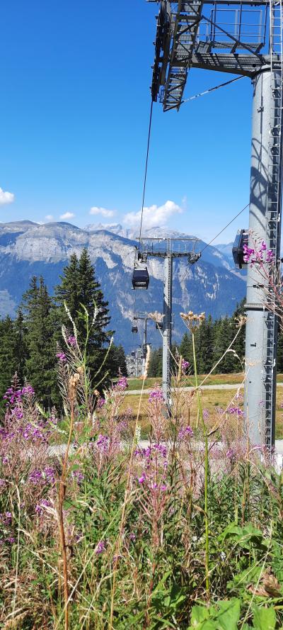 Luge d'été et randonnée aux Carroz d'Arâches