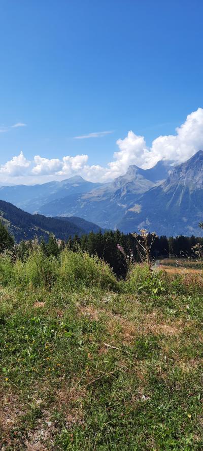 Luge d'été et randonnée aux Carroz d'Arâches