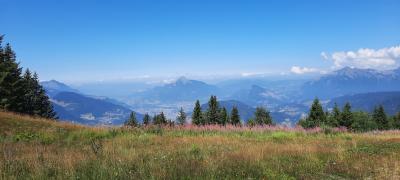 Luge d'été et randonnée aux Carroz d'Arâches