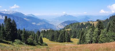 Luge d'été et randonnée aux Carroz d'Arâches