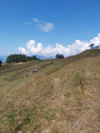 Luge d'été et randonnée aux Carroz d'Arâches