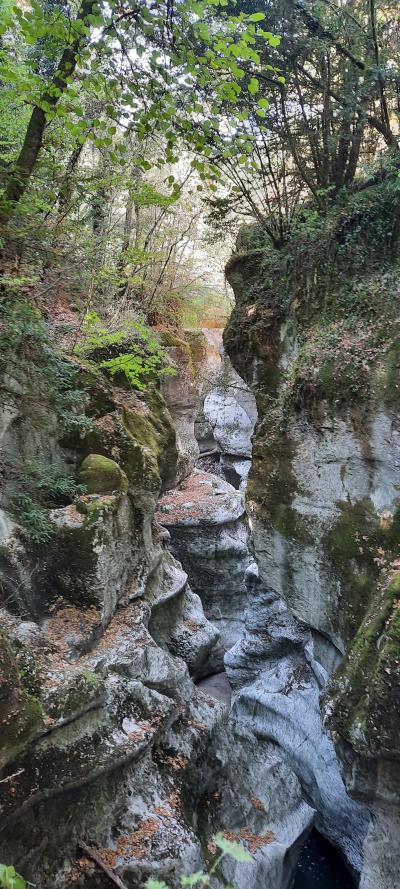 Visite des gorges du fier
