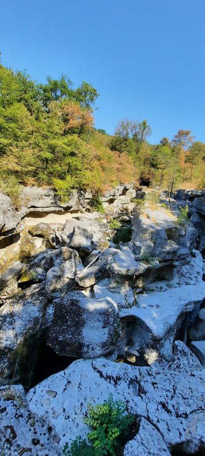 Visite des gorges du fier