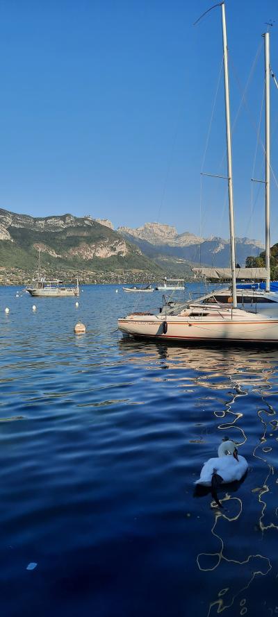 Repas et baignade au Lac d'Annecy