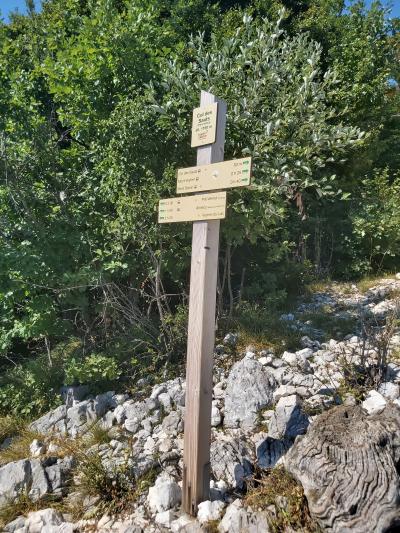 Randonnée avec vue sur le lac d'Annecy