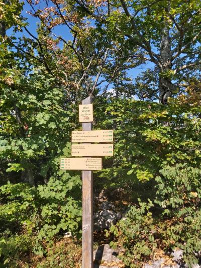 Randonnée avec vue sur le lac d'Annecy