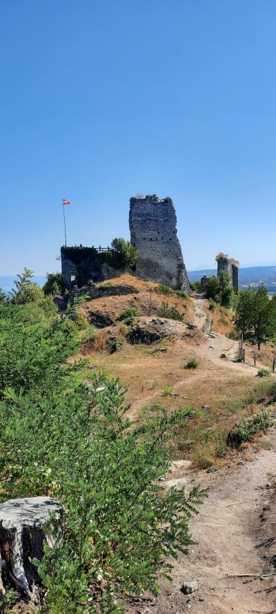 Les châteaux des Allinges