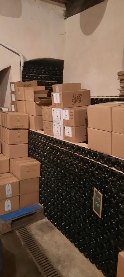 Tonon les bains, Yvoire et visite à la cave pour les filles et plage pour les enfants