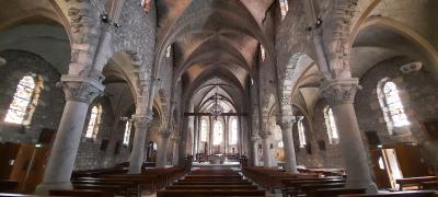 Visite de La Roche-sur-Foron et randonnée La boucle des cascades