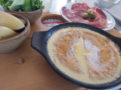 Visite de La Roche-sur-Foron et randonnée La boucle des cascades