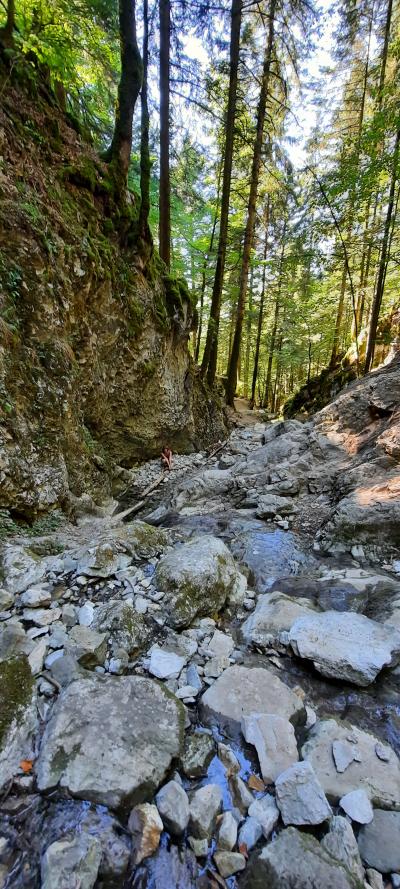 Visite de La Roche-sur-Foron et randonnée La boucle des cascades