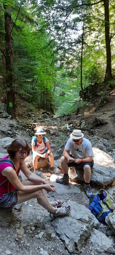 Visite de La Roche-sur-Foron et randonnée La boucle des cascades