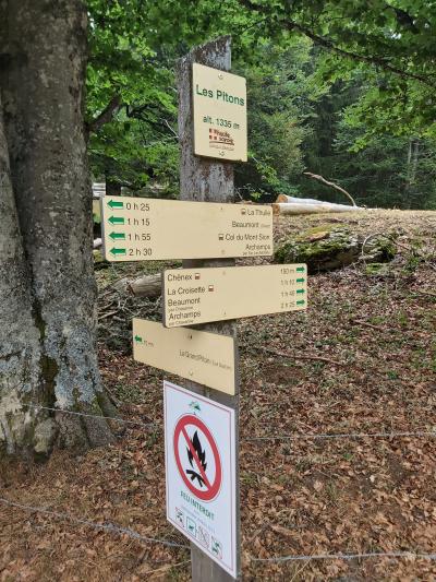 Allons voir le piton avant de partir pour d'autres aventures