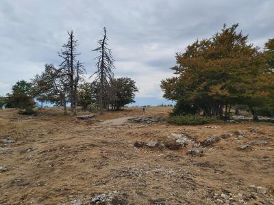 Allons voir le piton avant de partir pour d'autres aventures