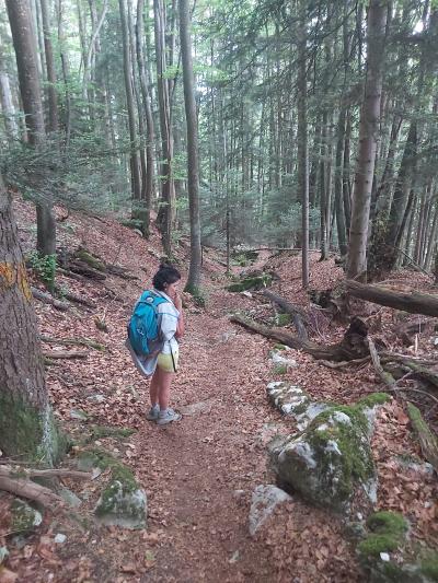 Allons voir le piton avant de partir pour d'autres aventures