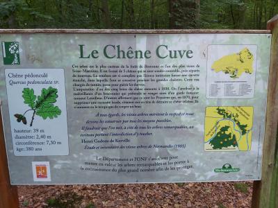 Randonnée avec Mélanie