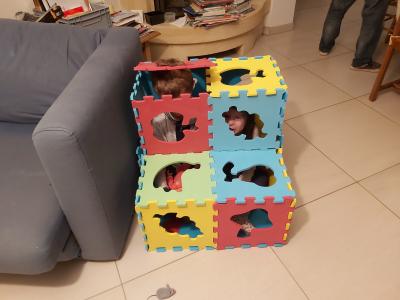 Vivement le beau temps pour aller faire de jolies ballades