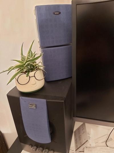 Balade aux Dock 76 et apéro aux Halles Agrivin avec Mélanie puis cinéma en amoureux