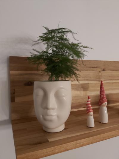 Balade aux Dock 76 et apéro aux Halles Agrivin avec Mélanie puis cinéma en amoureux