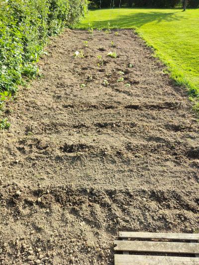 Ca y est la saison du jardin est de retour