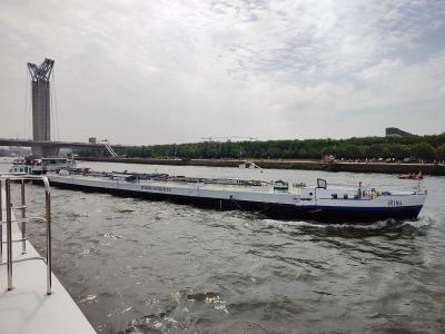 Balade à l'Armada de Rouen