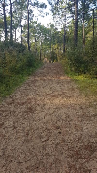 Randonnée en bord de mer
