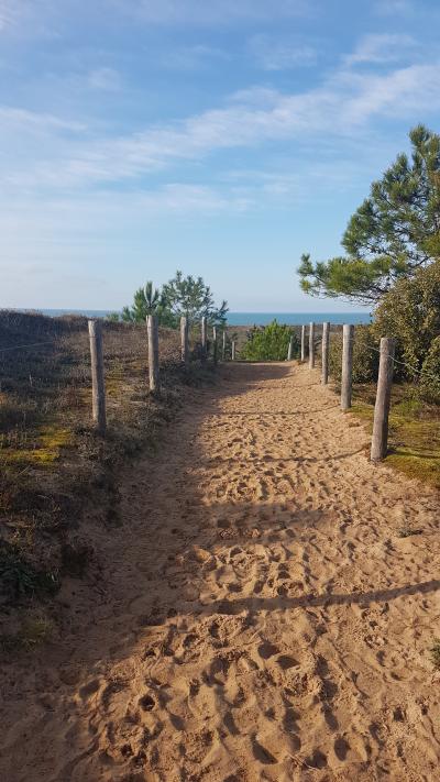 Randonnée en bord de mer
