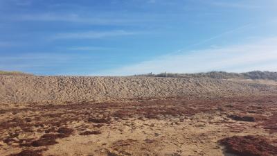 Randonnée en bord de mer