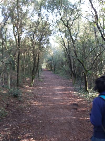 Randonnée en bord de mer