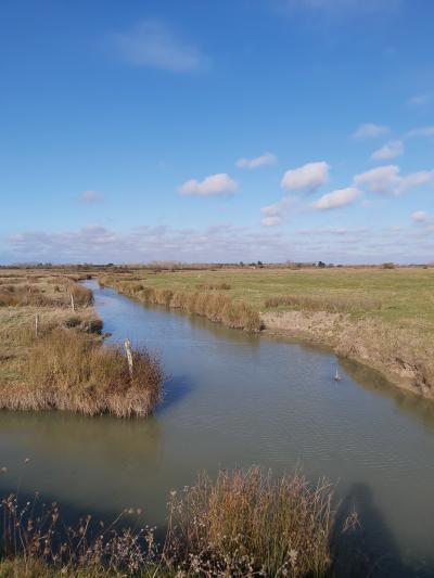 Randonnée en bord de mer