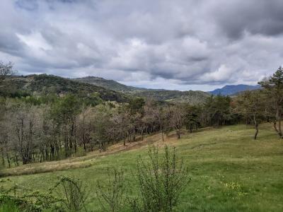 Mariage de Marion et JB au Domaine de Damian à Vesc dans la Drôme