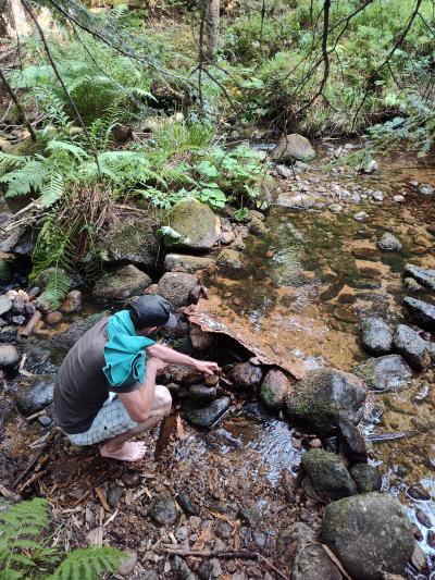 Saint bonnet le courreau