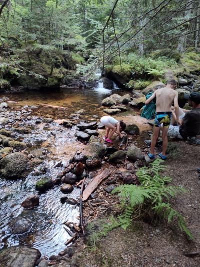Saint bonnet le courreau