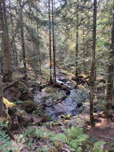 Saint bonnet le courreau