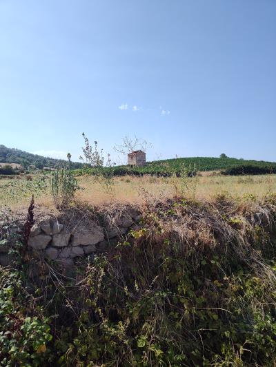 Saint bonnet le courreau