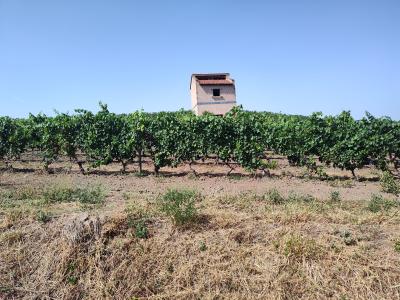 Saint bonnet le courreau