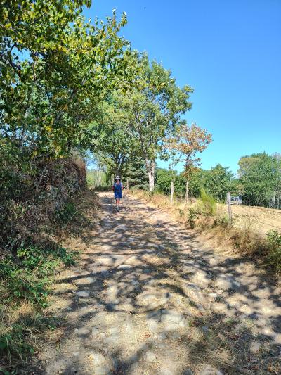Saint bonnet le courreau